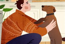 若你我终身不遇小说,若你我终身不遇盛柒柒纪川城-艾米文学