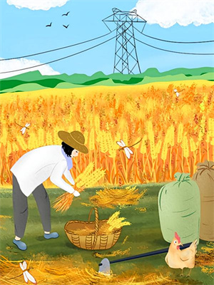 农家长姐：我靠交易系统种田发家这本小说完结了吗？免费查看最新章节