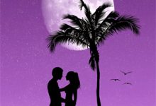 娇妻在上:夜少,强势锁婚!章节免费在线阅读,云倾北冥夜煊完结版-艾米文学